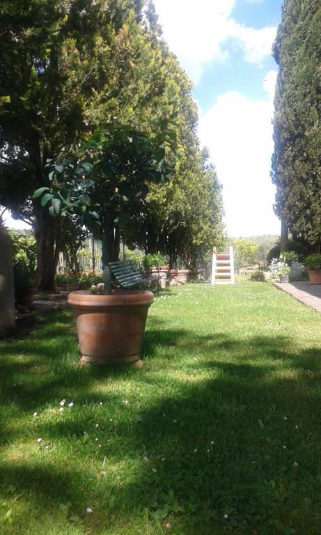 La Vecchia Quercia Villa Pergine Valdarno Esterno foto